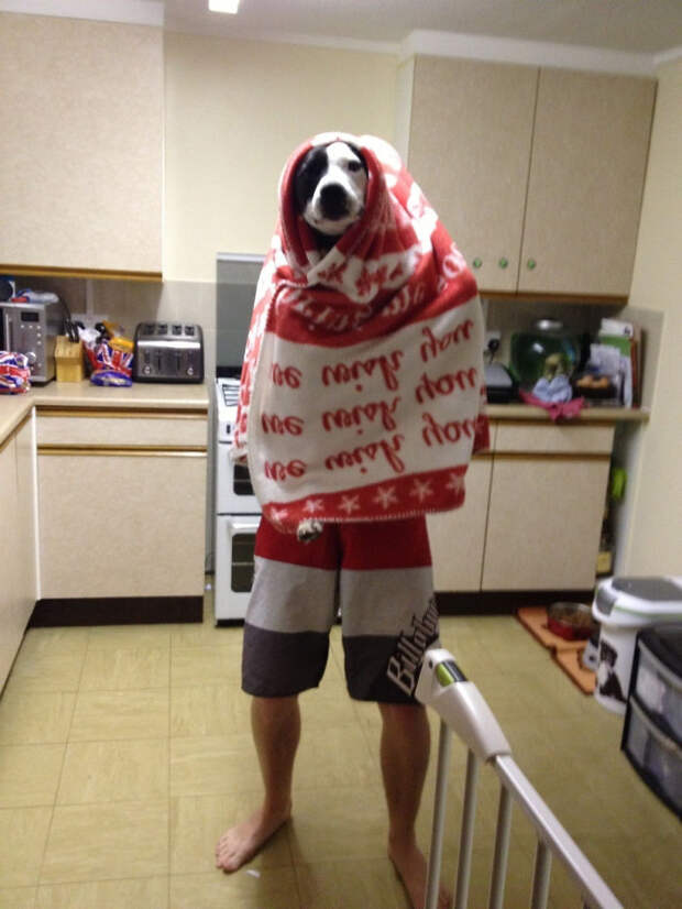 Heard My Husband Telling The Dog To Stay Still In The Kitchen, Walked In And This Greeted Me