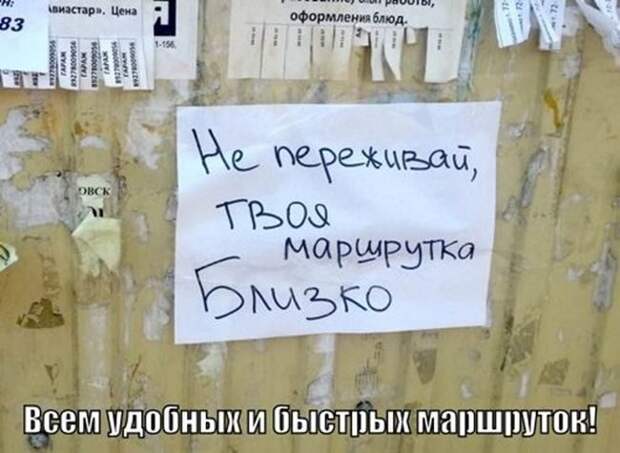 Веселые “маршрутки”