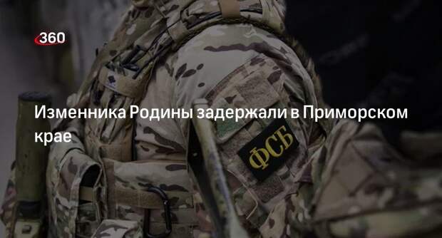 ФСБ: украинского шпиона задержали в Приморье, возбуждено дело о госизмене