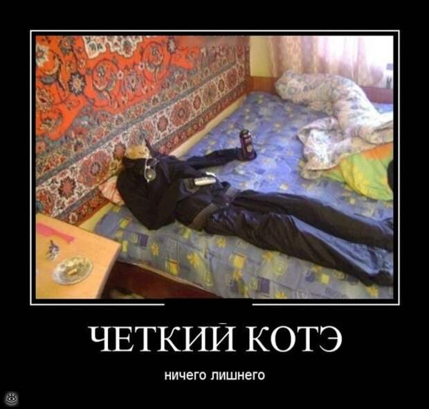 Ещё чуть-чуть демотиваторов 11