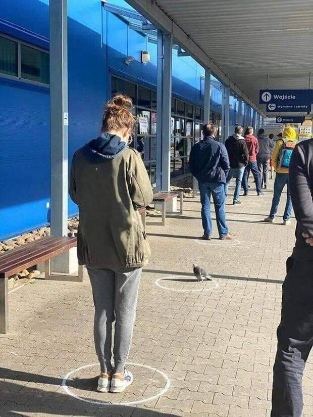 Подборка прикольных картинок