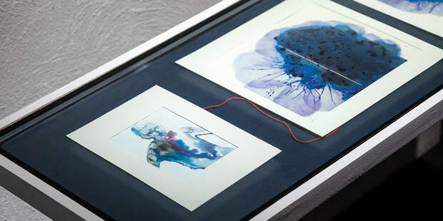 Между крушением и доверием: как Лена Скрипкина учит не бояться заплывать за буйки