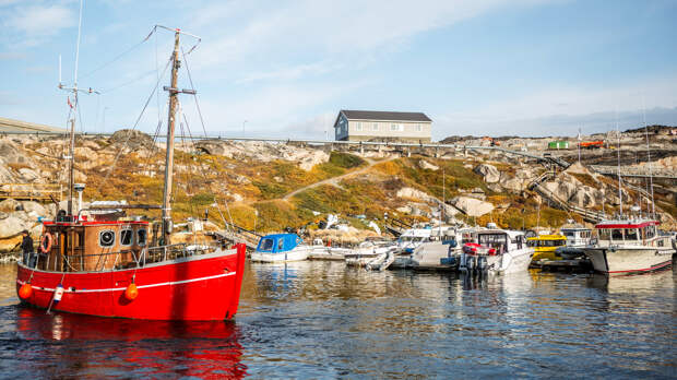 «Руки прочь от Гренландии»: в Дании начались протесты