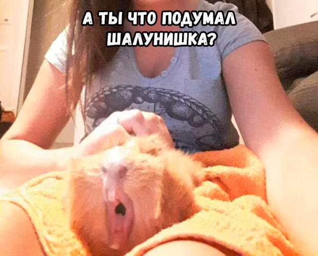 Мемы 