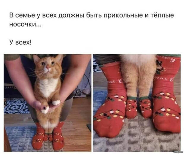 7e1b0c7544c942ff608db2f64e39bdce (700x587, 268Kb)