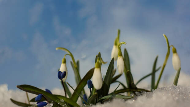 Метеоролог Сергеев: весна начнётся с похолодания