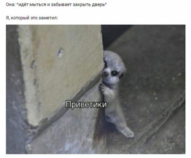 Мемы и приколы про отношения и &quot;кое-что&quot; еще