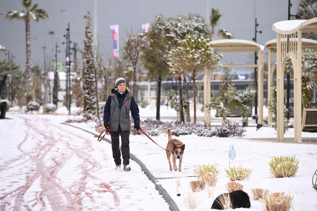 В Сочи выпадет снег