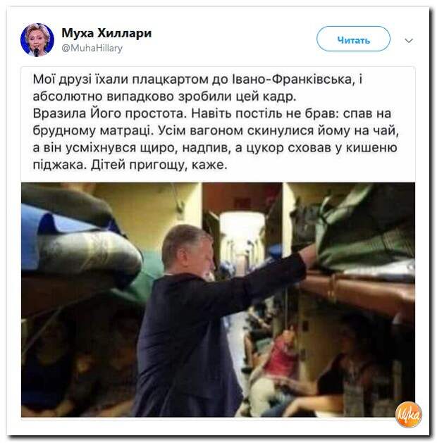 96.jpg
