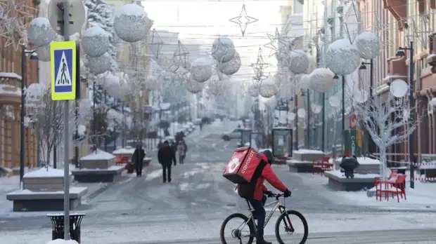 В Новгородской области организовали проверку сообщений о нашествии бродячих собак