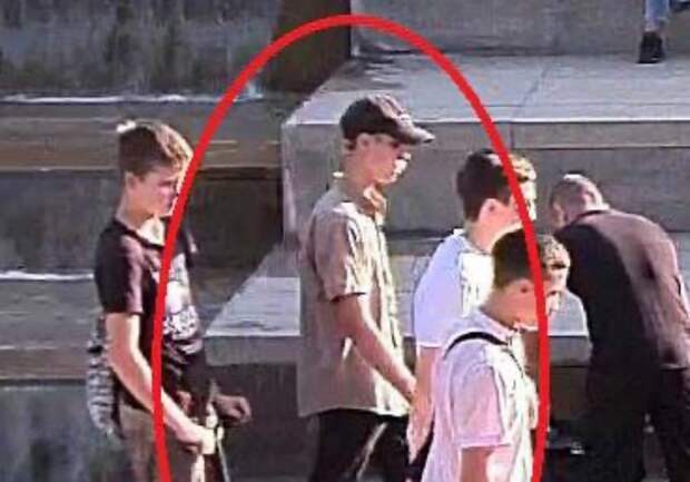 Полиция ищет подростка, который сломал дерево в парке "Краснодар"