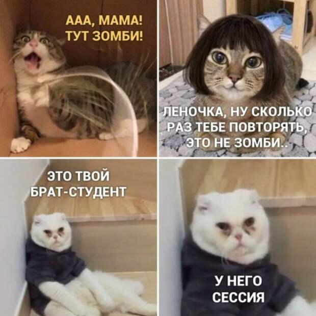 Немного картинок для настроения Немного картинок для настроения