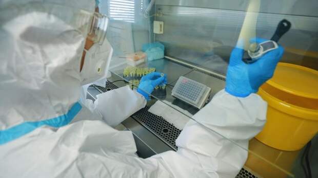 Медик в лаборатории / Фото: amic.ru