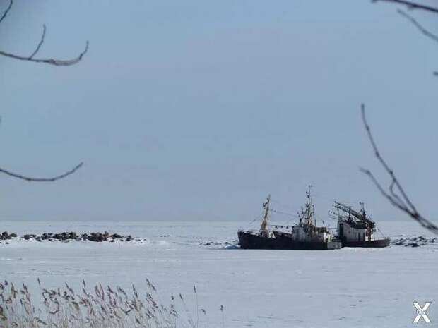 Тепловая инертность крупных водоёмов ...
