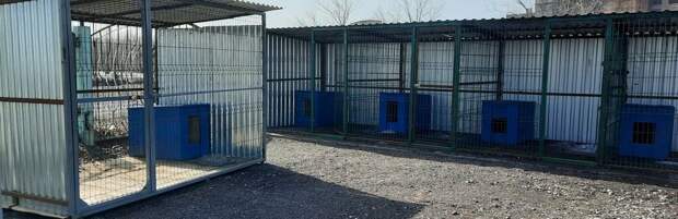 Когда в Караганде начнет работу центр временного содержания для бездомных животных