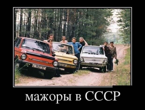 Демотиваторы (30 фото)
