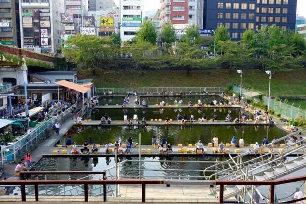 5. В Японии есть специальные организации, которые устраивают туристическую рыбалку: без улова никто не уйдет Особенности национальной рыбалки, видео, клюет, рыба, рыбалка, фото, юмор