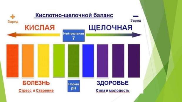 Наш рН. Как питание влияет на кислотно-щелочной баланс?