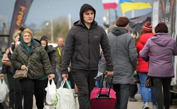 https://svpressa.ru/p/33/339/339714/l-339714.jpg?v=1657443889