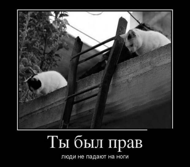 Демотиваторы. Классные приколы!