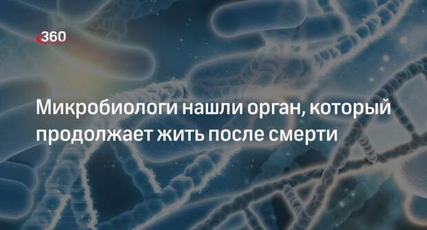 Микробиолог ДеБрюн: микробиом кишечника продолжает жить, когда тело уже мертво