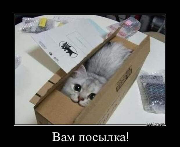Сборник демотиваторов (17 шт)