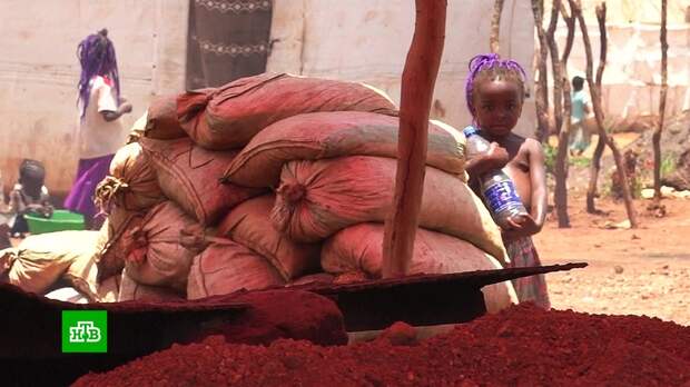 Круги детского ада: кто и за что подал в суд на Apple и Microsoft