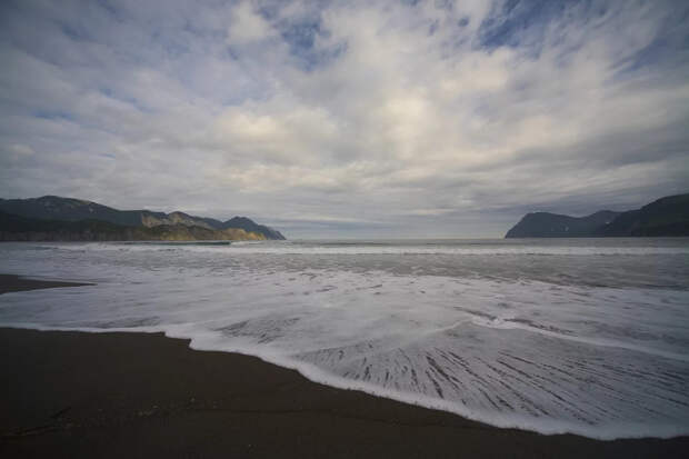 На атлантическое побережье Франции выбросило более 45 тыс. птиц