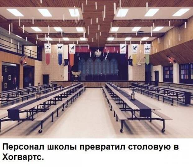 Хорошее настроение в картинках :)
