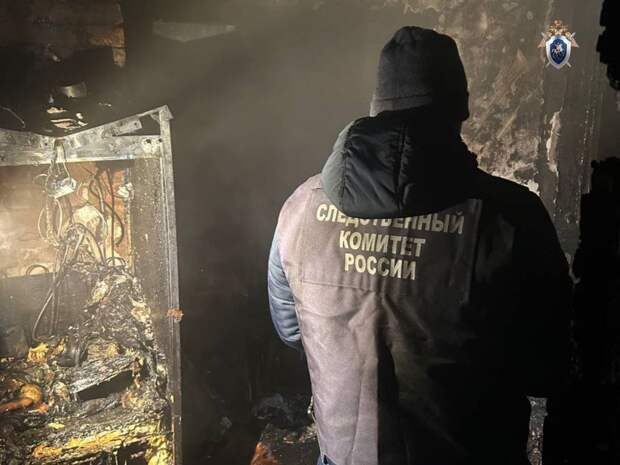 Девочка из многодетной семьи погибла в пожаре в Челябинской области