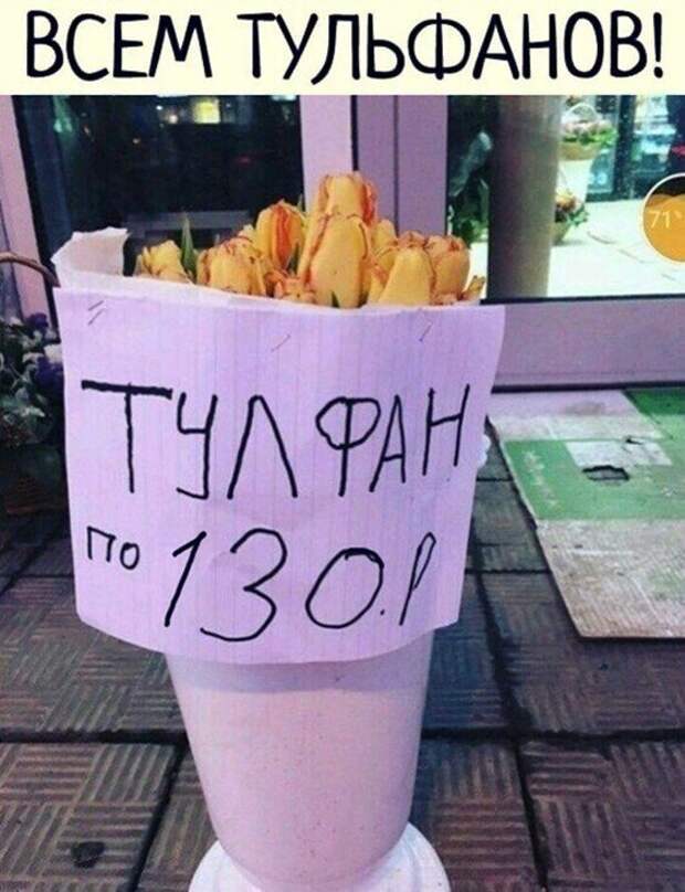 Смешные и познавательные картинки