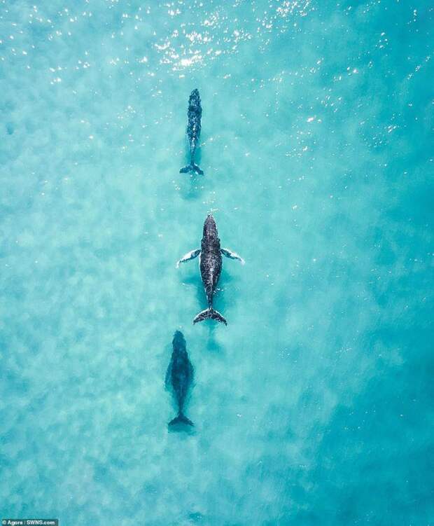 Водный мир: лучшие фотографии