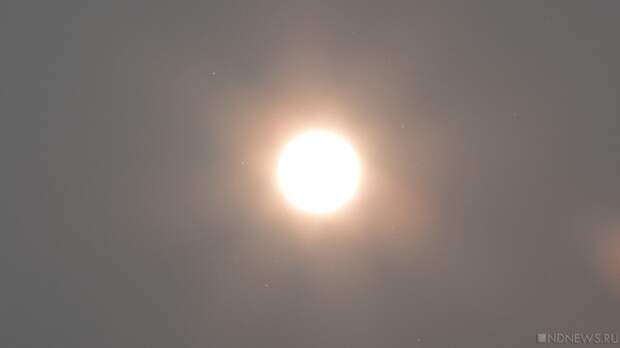 2025 год в Екатеринбурге стал самым теплым за всю его историю