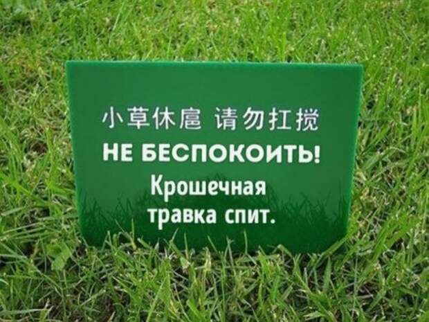 Смешные объявления, вывески и реклама (27 фото)