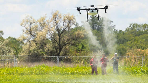 "Птички" над полем: агродроны помогают выращивать урожаи и бороться с вредителями
