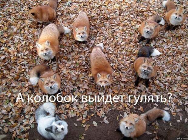 Всяко - разно 11 ))) Всяко - разно 11 )))