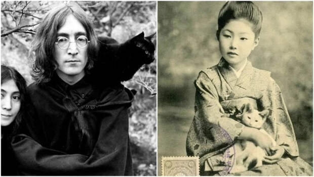 All Vintage Cats: 30 архивных фото с кошками