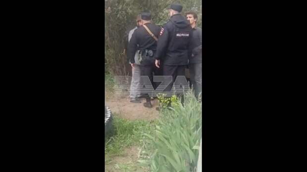Video: VivaCut_video_1746005916587_HD.mp4