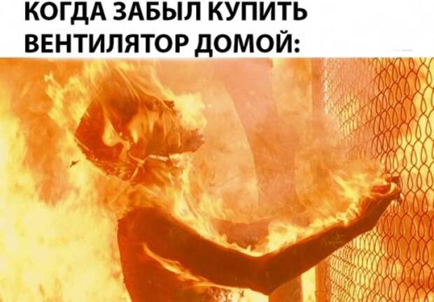 Свежая порция прикольных фотомемов (21 шт)