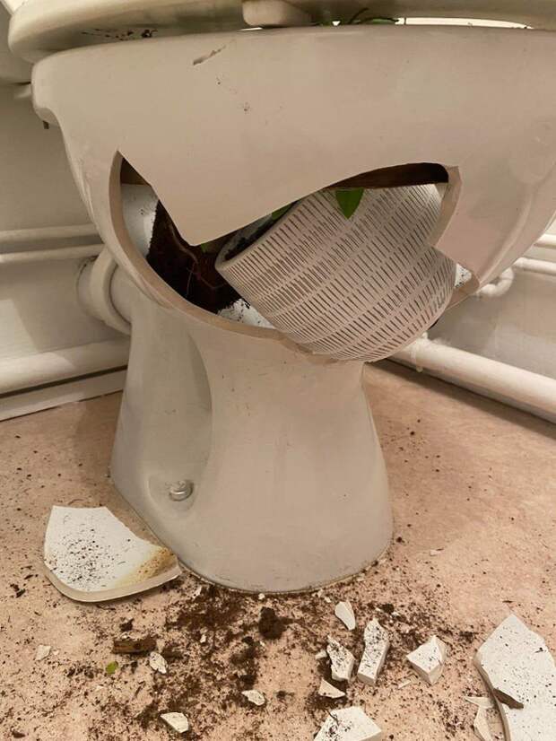 Внезапные неприятности, которые нагрянули откуда не ждали