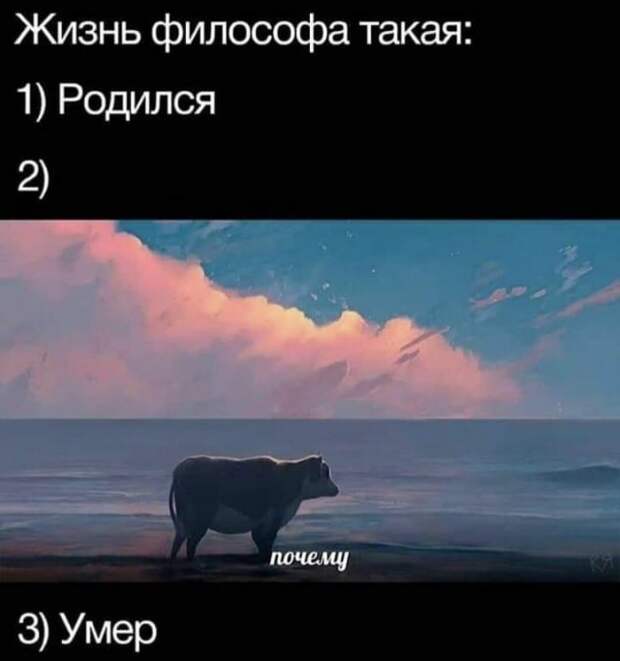 Лучшие шутки и мемы из Сети