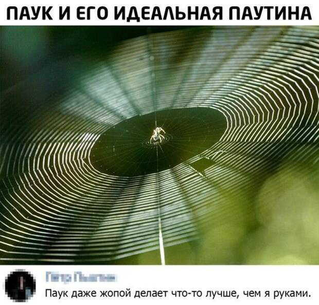 1-19.jpg
