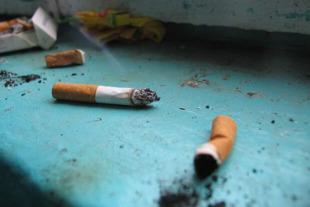 Распространенная привычка оказалась связана с повышением риска болезни Альцгеймера