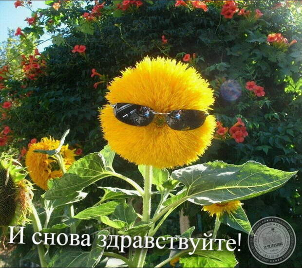 И снова здравствуйте