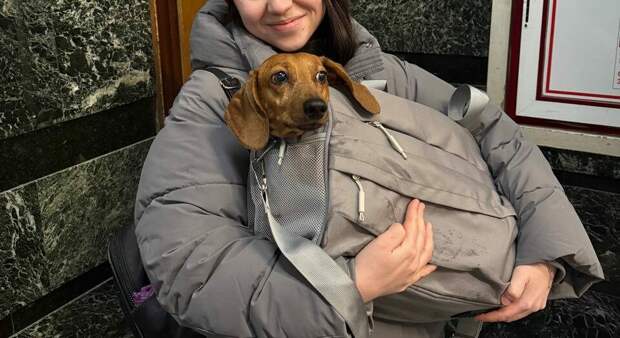 Трогательная встреча Дарси с хозяйкой на Ленинградском вокзале состоялась