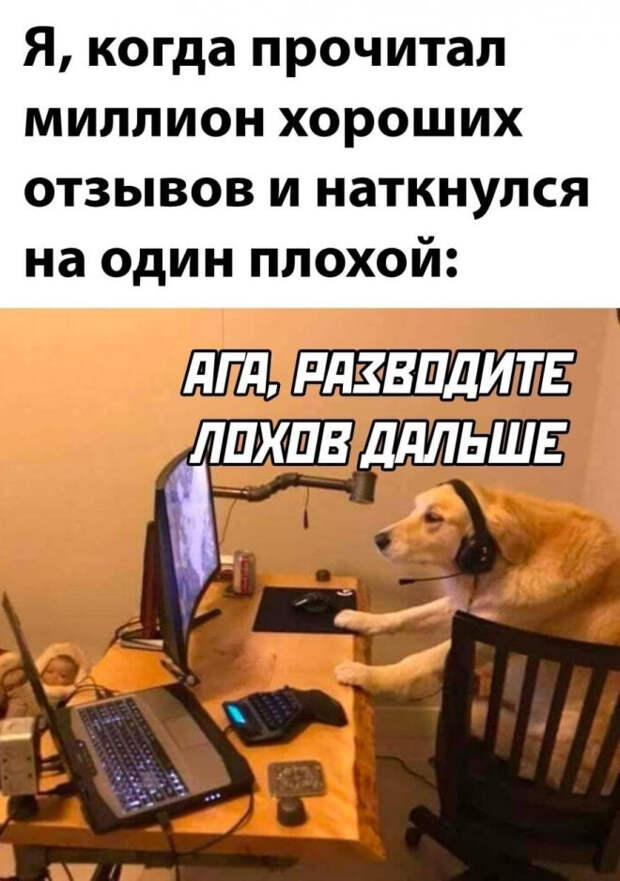 мем