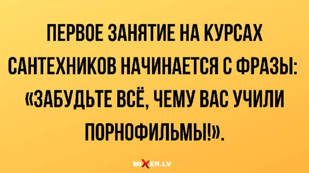 Смешные анекдоты в субботу и курсы сантехники | Mixnews