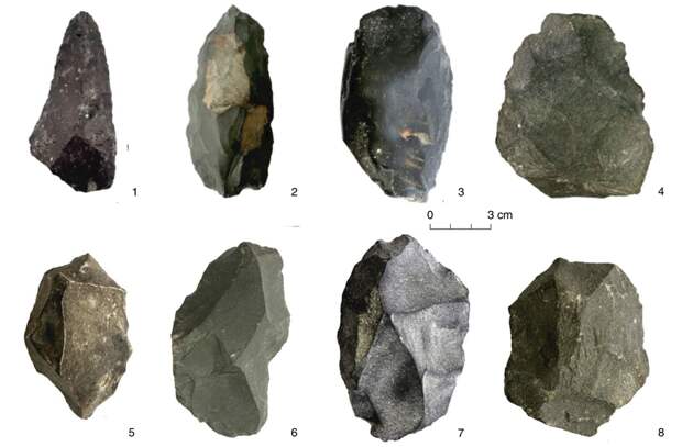 Среднепалеолитические орудия из слоев 14 и 15 в Денисовой пещере, ассоциированные с денисовцами. (200 тысяч лет назад)
