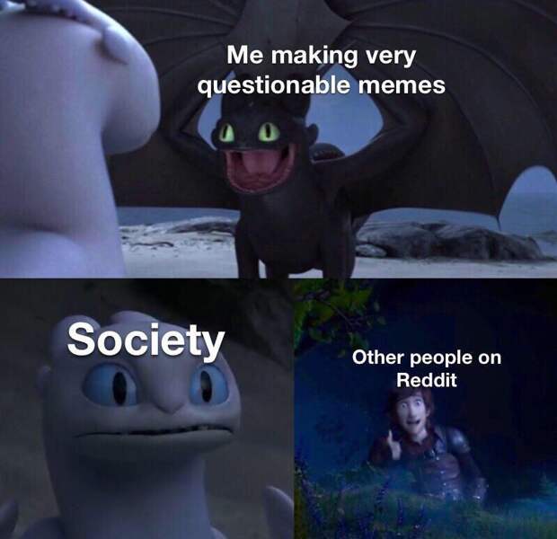 Toothless dragon and Light Fury memes