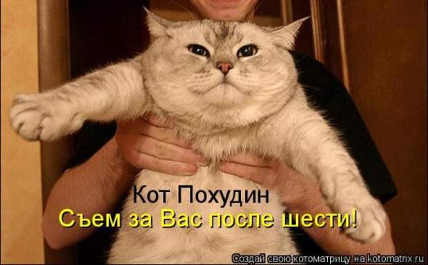 Котоматрицы(картинки с надписями)